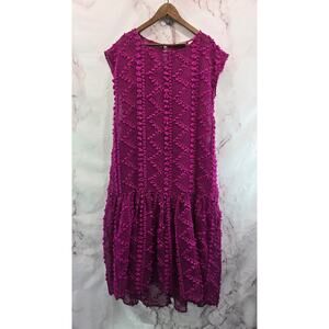 Anthropologie Dress Womens Medium Pink Pom Pom Sheer Textured Blythe